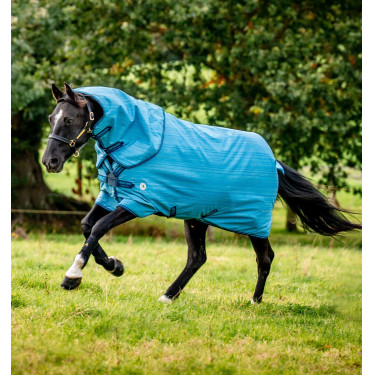 Pferdedecke Horseware Amigo Hero 900 Revive Plus 200g Pferdedecke Horseware Amigo Hero 900 Revive Plus 200g