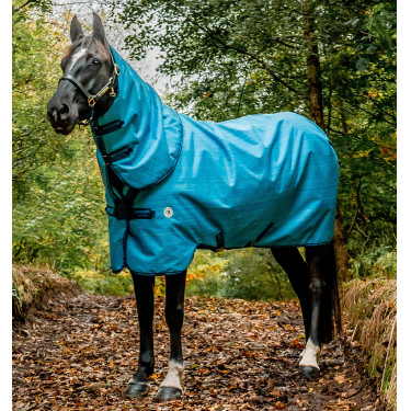 Pferdedecke Horseware Amigo Hero 900 Revive Plus 200g Pferdedecke Horseware Amigo Hero 900 Revive Plus 200g