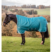 Pferdedecke Horseware Amigo Bravo 12 Wug 0g Sturmgrün / Türkis Grün Pferdedecke Horseware Amigo Bravo 12 Wug 0g Sturmgrün / Türkis Grün