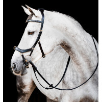 Bridon Horseware Micklem 2 Multi Schwarz Bridon Horseware Micklem 2 Multi Schwarz