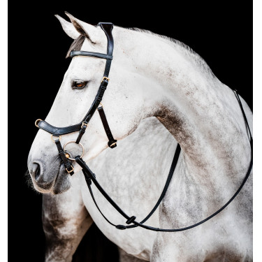 Bridon Horseware Micklem 2 Multi Schwarz Bridon Horseware Micklem 2 Multi Schwarz