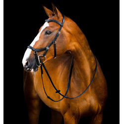Micklem 2 Deluxe Competition Trensenzaum von Horseware