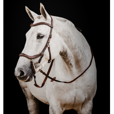 Micklem 2 Deluxe Competition Trensenzaum von Horseware Dunkles Havanna Braun Micklem 2 Deluxe Competition Trensenzaum von Horseware Dunkles Havanna Braun