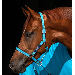 Halfter Horseware Amigo Halfter Horseware Amigo