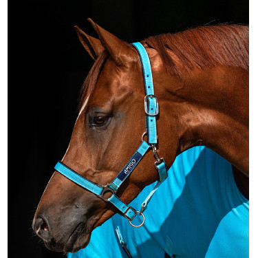 Halfter Horseware Amigo Halfter Horseware Amigo