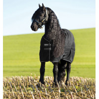 Boxdecke Horseware Rambo 100g Schwarz / schwarz / silber