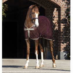 Trockendecke Netz Horseware Amigo 0g Trockendecke Netz Horseware Amigo 0g