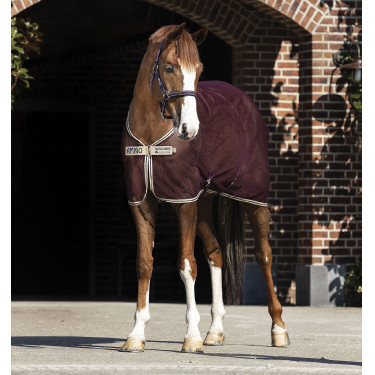 Trockendecke Netz Horseware Amigo 0g Trockendecke Netz Horseware Amigo 0g