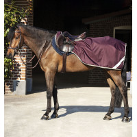 Couvre-reins Horseware Amigo Competition Ripstop Figue / marine