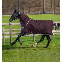 Horseware Amigo Hero Ripstop Plus Decke mit Halsteil 200g Feige / Silber