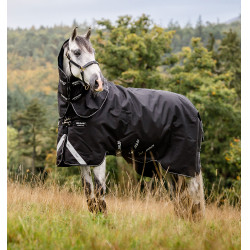 Horseware Amigo Super Bravo Plus 250g Decke