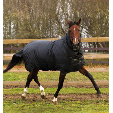 Horseware Trot Plus Decke mit Halsteil 350g Horseware Trot Plus Decke mit Halsteil 350g
