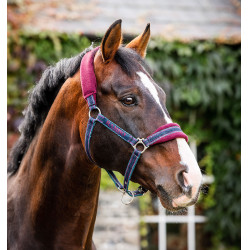 Halfter Horseware Rambo mit Fleece-Futter Halfter Horseware Rambo mit Fleece-Futter