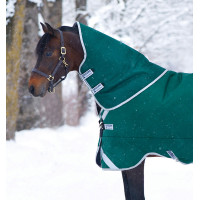 Couvre-cou Horseware 250g pour couverture Rambo Original Vert / argent
