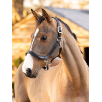 Putzhalfter LeMieux aus Leder Braun Putzhalfter LeMieux aus Leder Braun