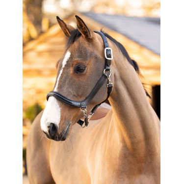 Putzhalfter LeMieux aus Leder Schwarz