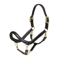 Putzhalfter LeMieux aus Leder Braun
