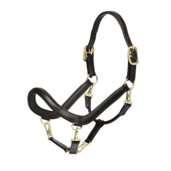 Putzhalfter LeMieux aus Leder Putzhalfter LeMieux aus Leder