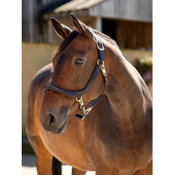 Putzhalfter LeMieux aus Leder Putzhalfter LeMieux aus Leder