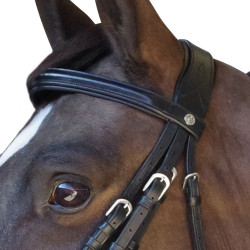 Trense Rückzug Euro Canter Trense Rückzug Euro Canter