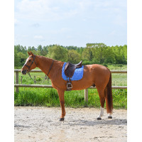 GEM Love Dressur Schabracke Französisch Blau