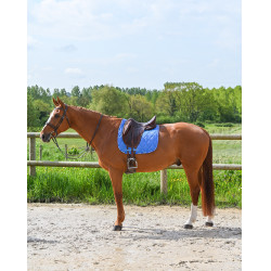 GEM Love Dressur Schabracke Französisch Blau