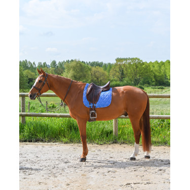 GEM Love Dressur Schabracke Französisch Blau