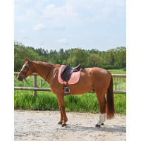 GEM Love Dressur Schabracke Französisch Blau GEM Love Dressur Schabracke Französisch Blau