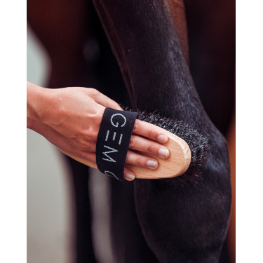 Harte Bürste GEM Schwarz