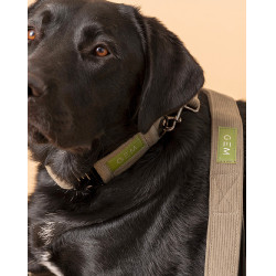 Halsband & Leine Set GEM Khaki Gr&uuml;n