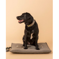 Hundematte GEM 60 x 80 cm Khaki Grün Hundematte GEM 60 x 80 cm Khaki Grün