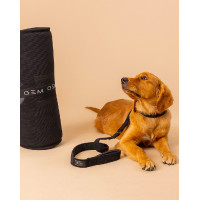 Hundematte GEM 60 x 80 cm Khaki Grün Hundematte GEM 60 x 80 cm Khaki Grün