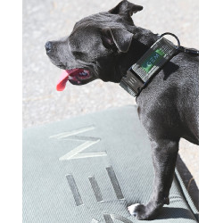 Hundematte GEM 40 x 60 cm Khaki Gr&uuml;n