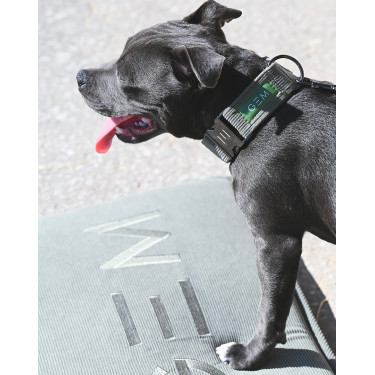 Hundematte GEM 40 x 60 cm Khaki Gr&uuml;n