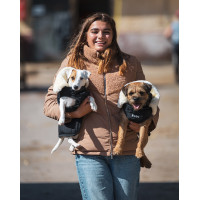 Couverture pour chien GEM