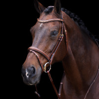 Trense HV Polo Legacy Braun Trense HV Polo Legacy Braun