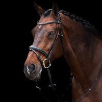 Trense HV Polo Legacy Schwarz