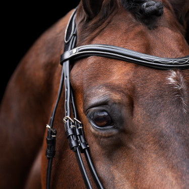 Trense HV Polo Legacy Schwarz