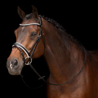 Trensenzaum HV Polo Legacy deluxe Schwarz Weiß