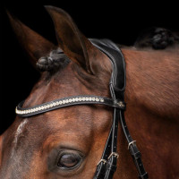 Trensenzaum HV Polo Legacy deluxe Schwarz