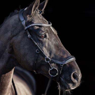 Trense HV Polo Legacy Anatomique Deluxe Trense HV Polo Legacy Anatomique Deluxe