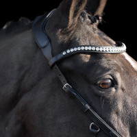 Trense HV Polo Legacy Anatomique Deluxe Schwarz Trense HV Polo Legacy Anatomique Deluxe Schwarz