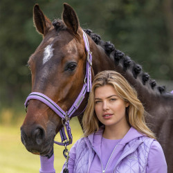 HV Polo Classic Stripe Halfter HV Polo Classic Stripe Halfter
