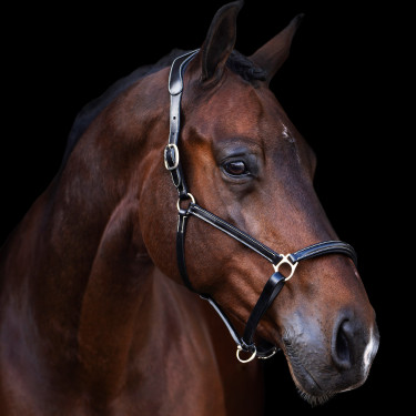 Halfter HV Polo Legacy Schwarz Halfter HV Polo Legacy Schwarz