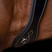 Sangle de dressage HV Polo Legacy Sangle de dressage HV Polo Legacy