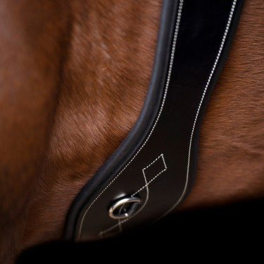 HV Polo Legacy trainingsriem HV Polo Legacy trainingsriem