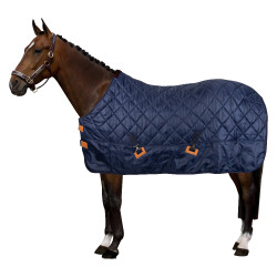 Stalldecke HV Polo Jet