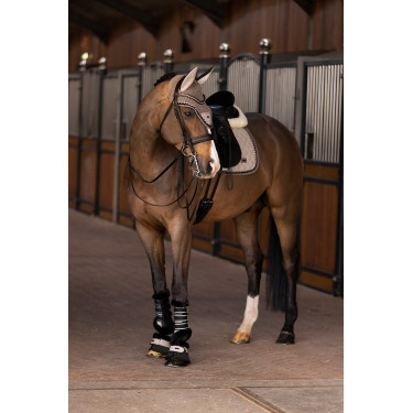 Dressurgamaschen HV Polo Francis Dressurgamaschen HV Polo Francis