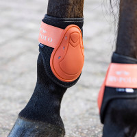 Gamaschen und Streichkappen HV Polo Classic Rosenblüte Rosa