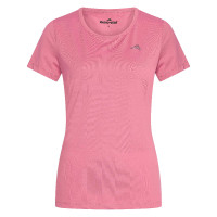 Top Euro-Star Enya Weißdornrose Rosa